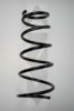 SPIDAN 85858 Coil Spring